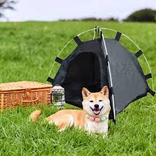 Camping With Pets